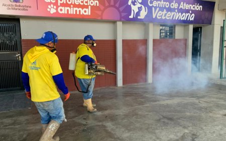 Fumigaron la Plaza para Todos
