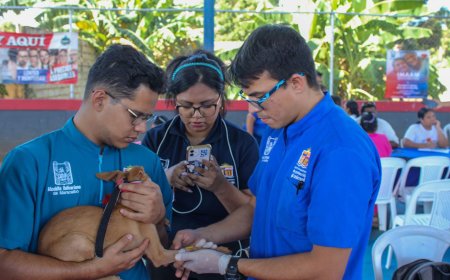 IMPA llevó atención veterinaria gratuita a las comunidades de Maracaibo