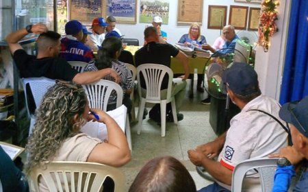 Eliminatoria sénior de Pequeñas Ligas será del 6 al 11 de enero