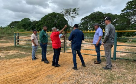 Tres niveles de gobierno impulsan producción en el Complejo "El Diluvio"