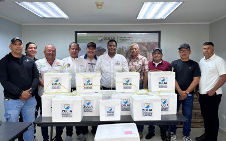 ZULIA: Plan de erradicación de la fiebre aftosa suma la entrega de 145.000 vacunas