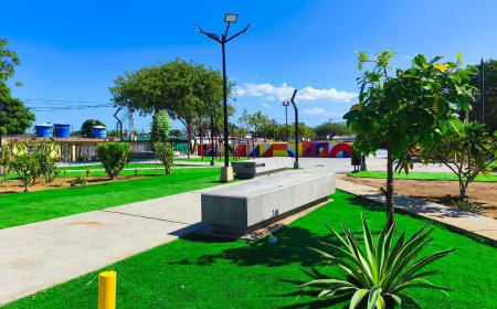 Plaza número 25 entregó Di Martino: La “Madrina Elia” de San Jacinto quedó como una uva