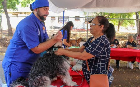 ¡En 3 meses! IMPA: más de mil esterilizaciones y 5.000 atenciones en Maracaibo