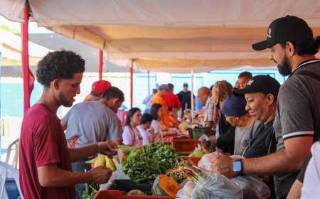 DI MARTINO gestionó 210 toneladas de alimentos, 100 mil familias atendidas y 26 mercados en 4 meses