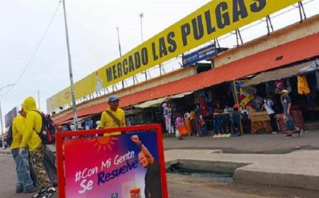 ¡Enhorabuena! La Alcaldía fumigará el 1 de enero el Mercado Las Pulgas. 