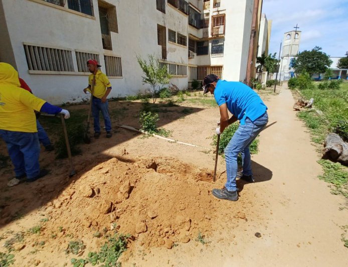 En El Pinar están "jochaos": Tienen gas otra vez