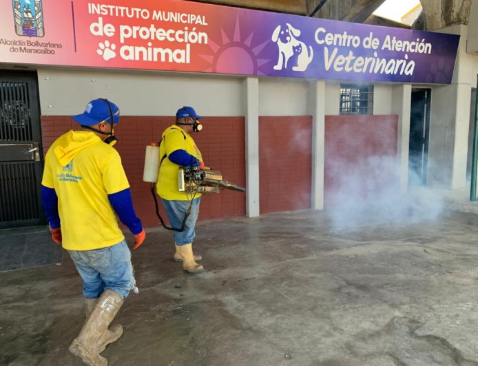 Fumigaron la Plaza para Todos