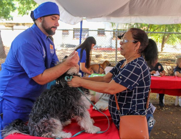 ¡En 3 meses! IMPA: más de mil esterilizaciones y 5.000 atenciones en Maracaibo
