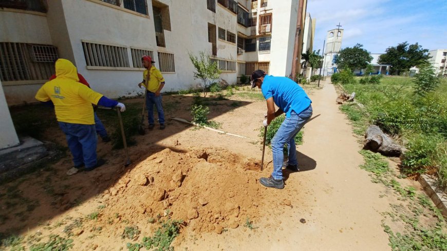 En El Pinar están "jochaos": Tienen gas otra vez