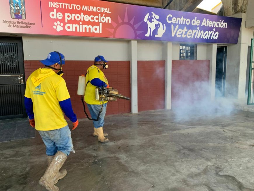 Fumigaron la Plaza para Todos