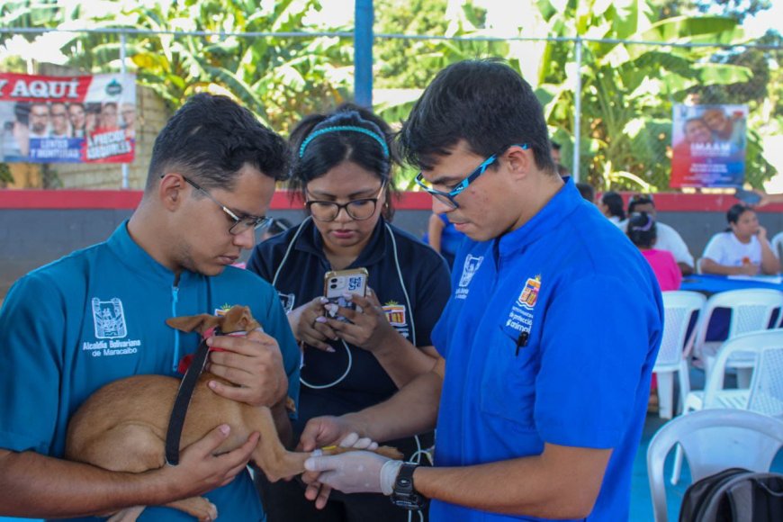 IMPA llevó atención veterinaria gratuita a las comunidades de Maracaibo