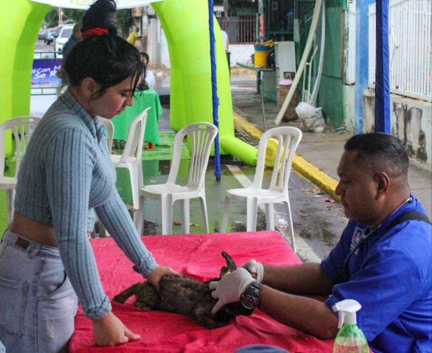 IMPA llevó atención veterinaria gratuita a las comunidades de Maracaibo