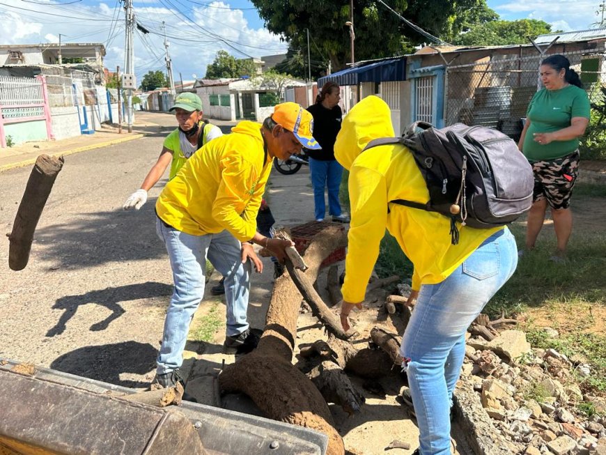 Operación ¡Saca tu Cachivache! hizo arrase en Las Tarabas y Ziruma