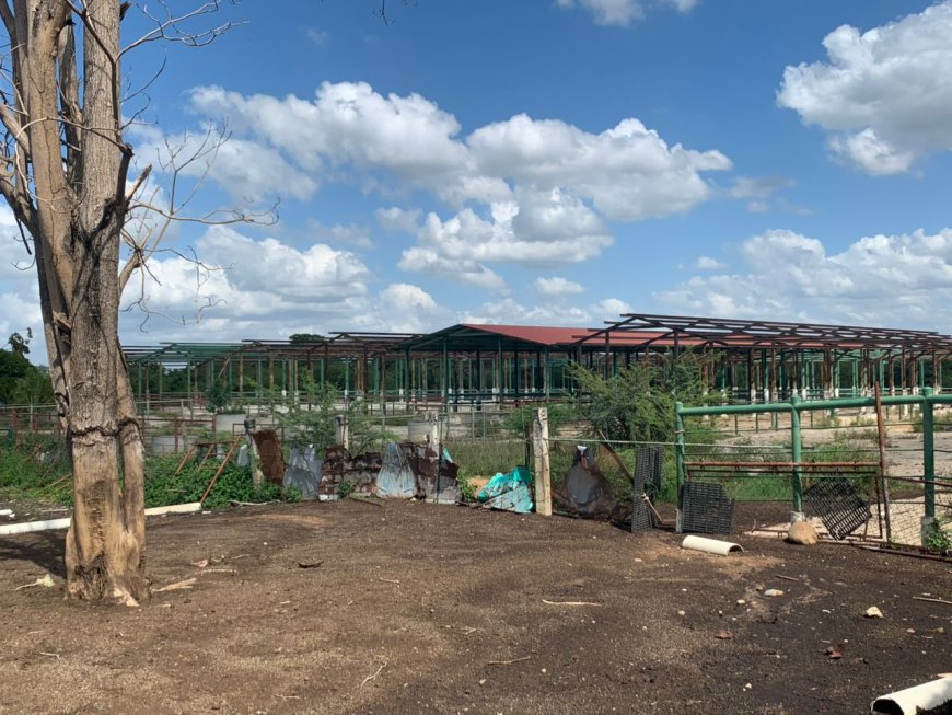 Tres niveles de gobierno impulsan producción en el Complejo "El Diluvio"