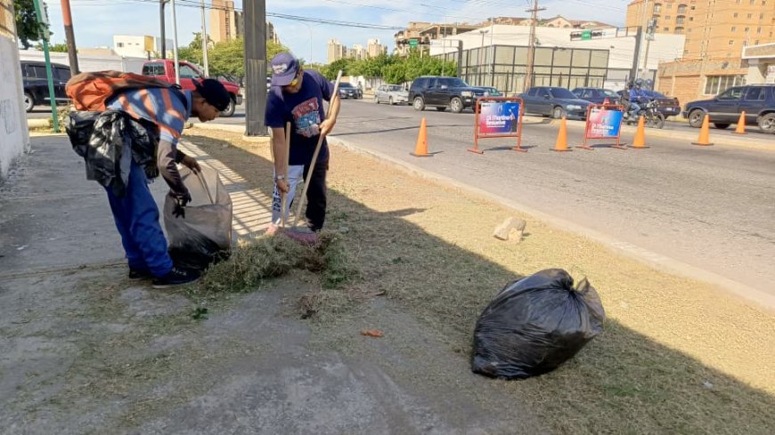 MARACAIBO: Alcaldía llenó de árboles la prolongación Circunvalación 2