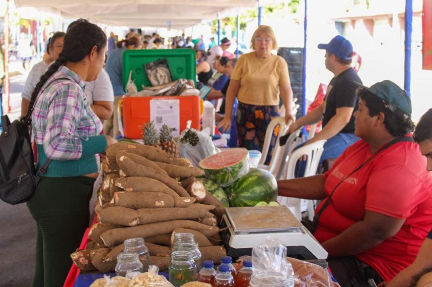 Ana Clara de Di Martino: La VenApp facilita cumplir deuda social con el pueblo