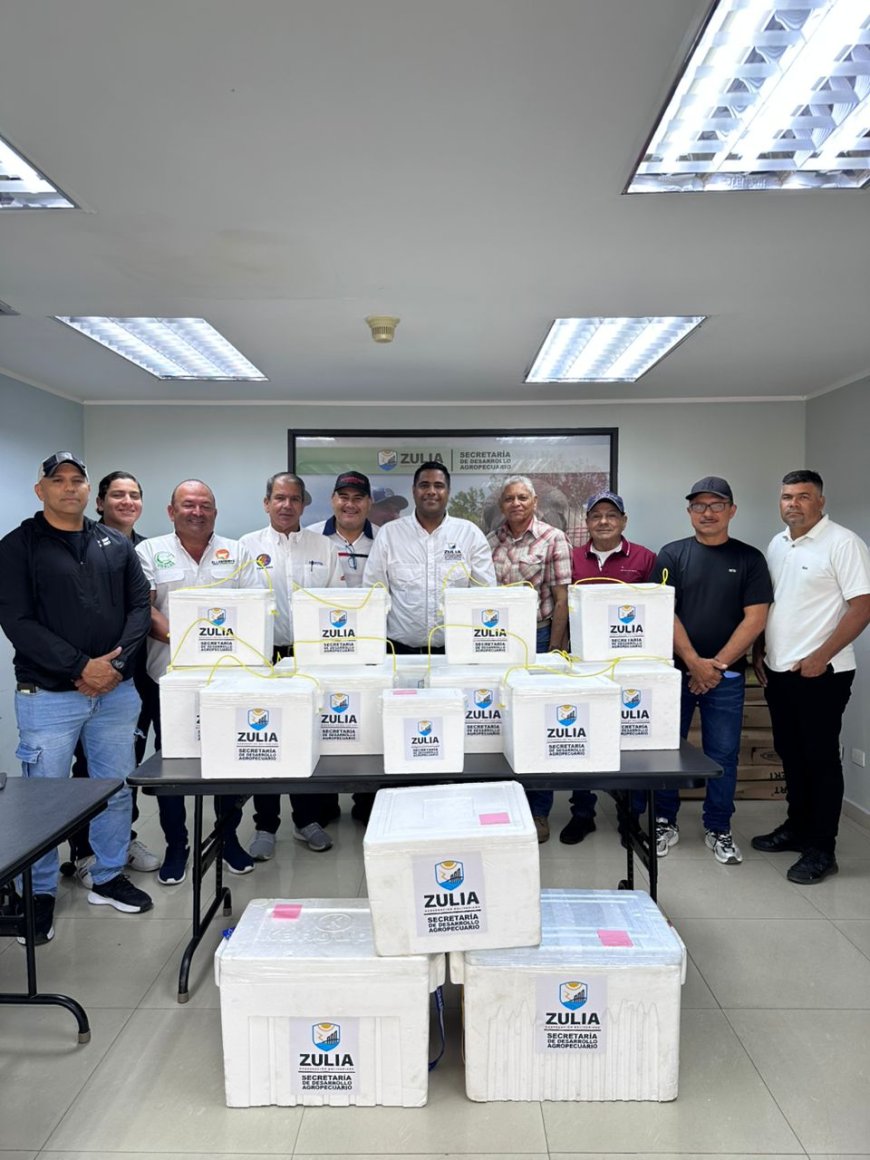 ZULIA: Plan de erradicación de la fiebre aftosa suma la entrega de 145.000 vacunas