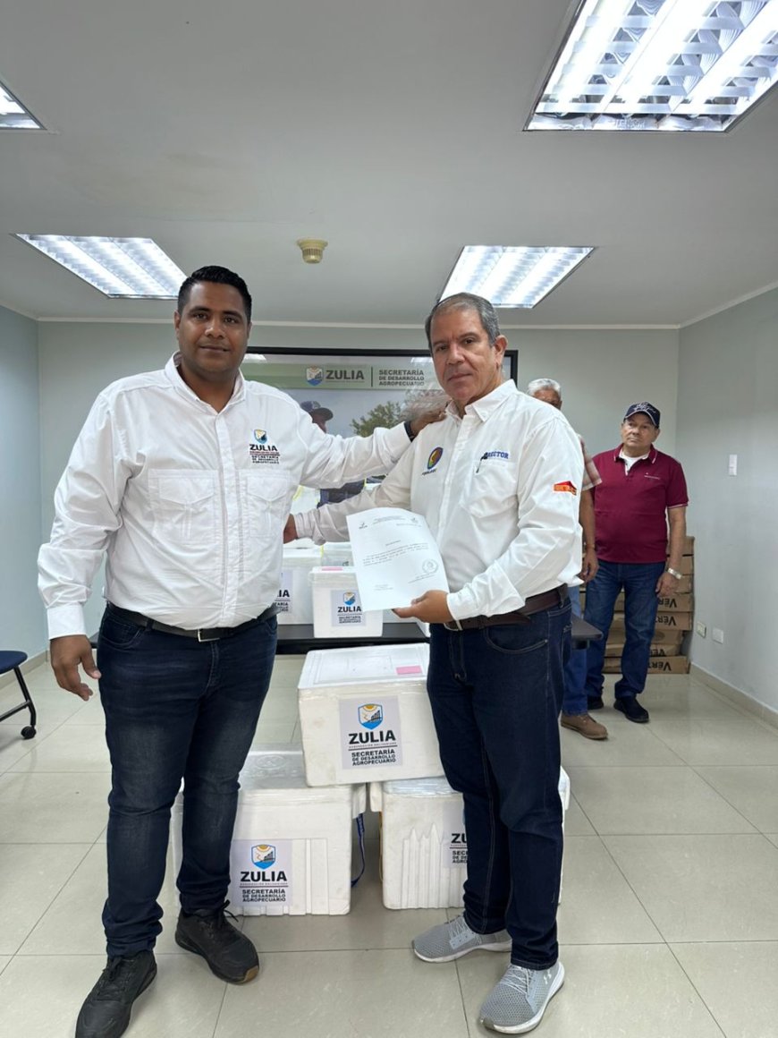 ZULIA: Plan de erradicación de la fiebre aftosa suma la entrega de 145.000 vacunas