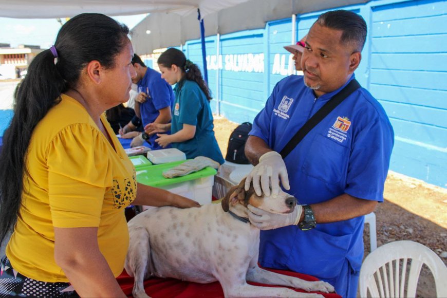 Jornada 25 del Mercado de Emprendedores benefició a más de 3.500 familias en Los Haticos