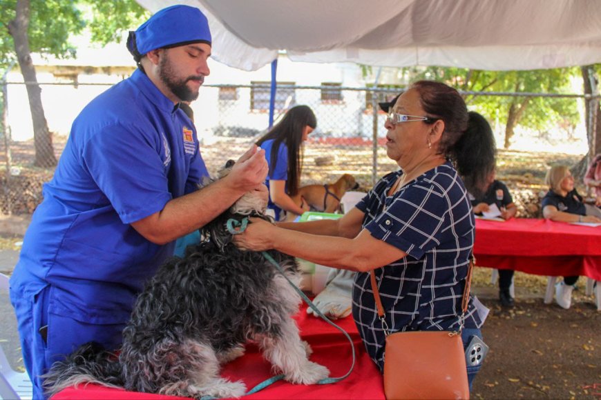 ¡En 3 meses! IMPA: más de mil esterilizaciones y 5.000 atenciones en Maracaibo