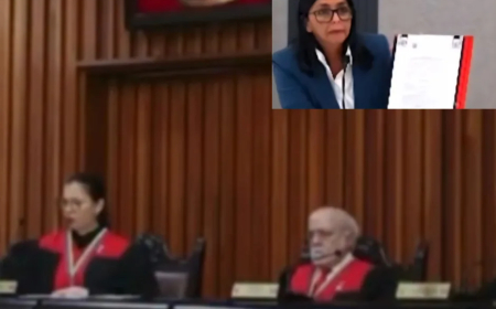 TSJ  dictaminó que Delcy Rodríguez asuma de inmediato la presidencia de Venezuela 