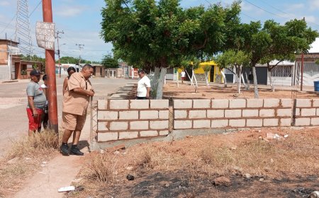 Más de 300 familias se benefician con proyecto ambiental en Sector II de Sol Amada 