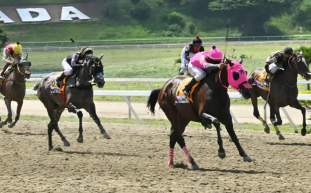 Hipismo nacional inaugura tenporada 2026 con triple jornada