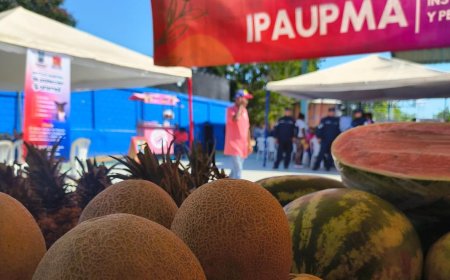 Maracaibo elevó su producción agrícola a 40% en la gestión del alcalde Giancarlo Di Martino  