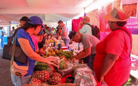 ¡Éxito total!: Vendieron más de 10 toneladas de alimentos en el mercado de Di Martino