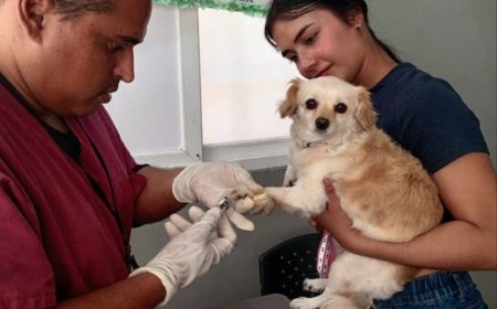 Jornadas veterinarias: 277 mascotas recibieron atención médica gratuita en San Francisco