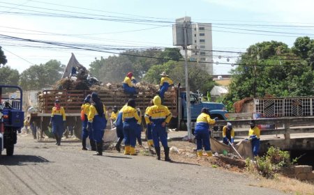 ¡Trabajo constante! IMA despeja la Cañada Lara de 150 toneladas de desechos