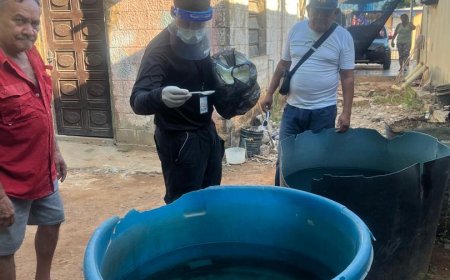 SAN FRANCISCO: Alcaldía intensifica lucha contra el dengue en Betulio González y San Benito