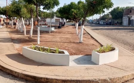 ALTOS DEL SOL AMADA: Líderes comunales rinden cuentas por obra ambiental 