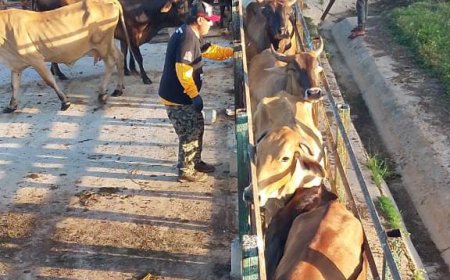 ¡Jornada exitosa! Vacunados más de 2.600 animales contra la fiebre aftosa en Maracaibo
