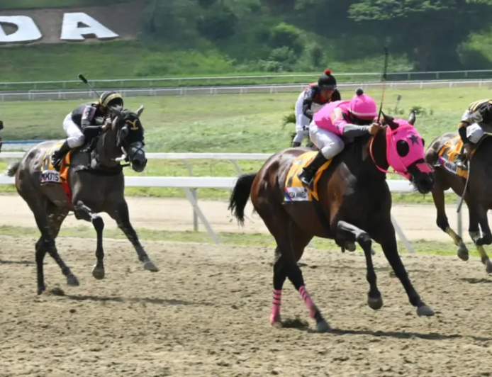Hipismo nacional inaugura tenporada 2026 con triple jornada