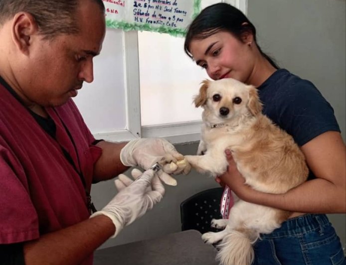 Jornadas veterinarias: 277 mascotas recibieron atención médica gratuita en San Francisco