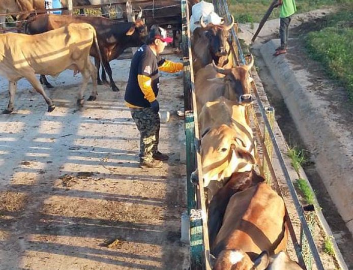¡Jornada exitosa! Vacunados más de 2.600 animales contra la fiebre aftosa en Maracaibo