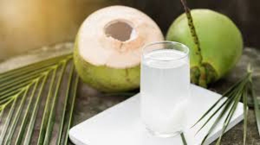Reinicio saludable Post-Navidad: El Agua de Coco para la digestión y el bienestar
