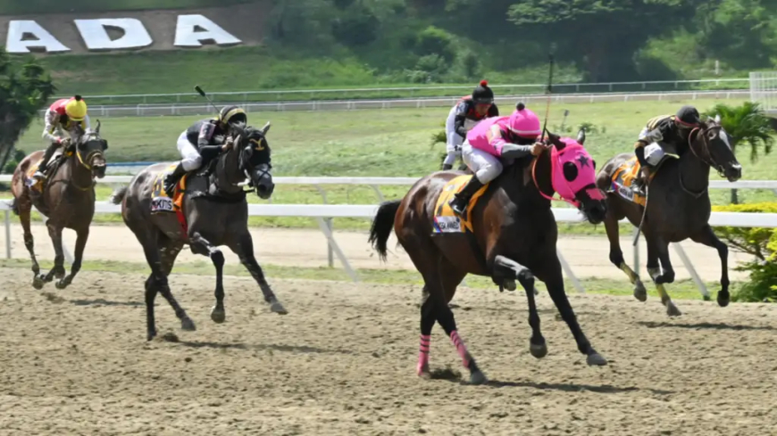Hipismo nacional inaugura tenporada 2026 con triple jornada