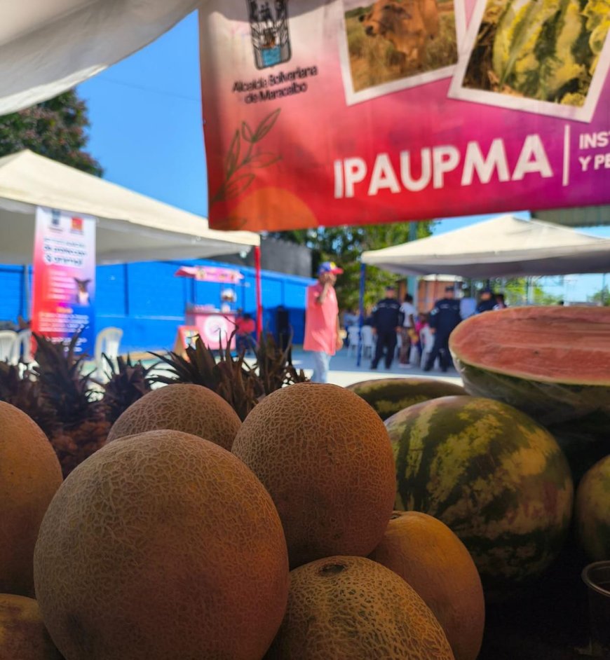 Maracaibo elevó su producción agrícola a 40% en la gestión del alcalde Giancarlo Di Martino  