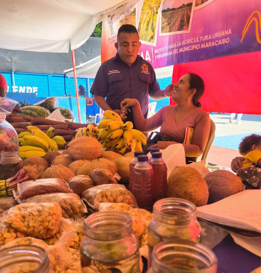 Maracaibo elevó su producción agrícola a 40% en la gestión del alcalde Giancarlo Di Martino  