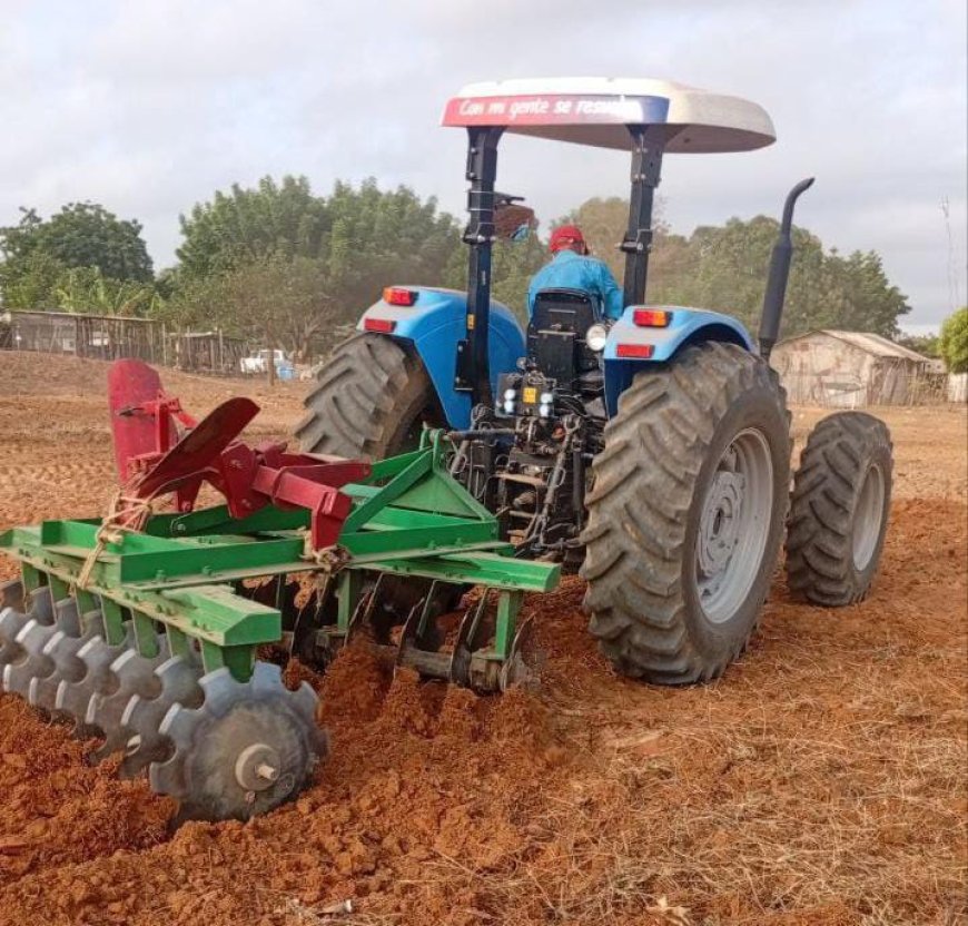 Maracaibo elevó su producción agrícola a 40% en la gestión del alcalde Giancarlo Di Martino  