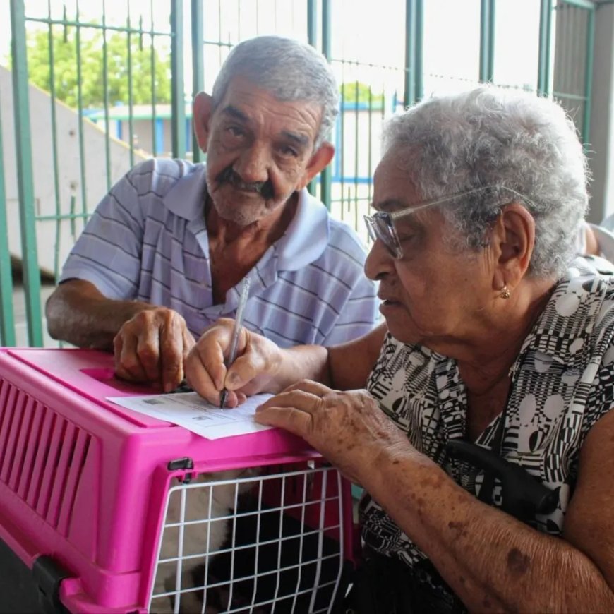 ¡IMPA activo! 100 felinos esterilizados en la primera jornada de 2026