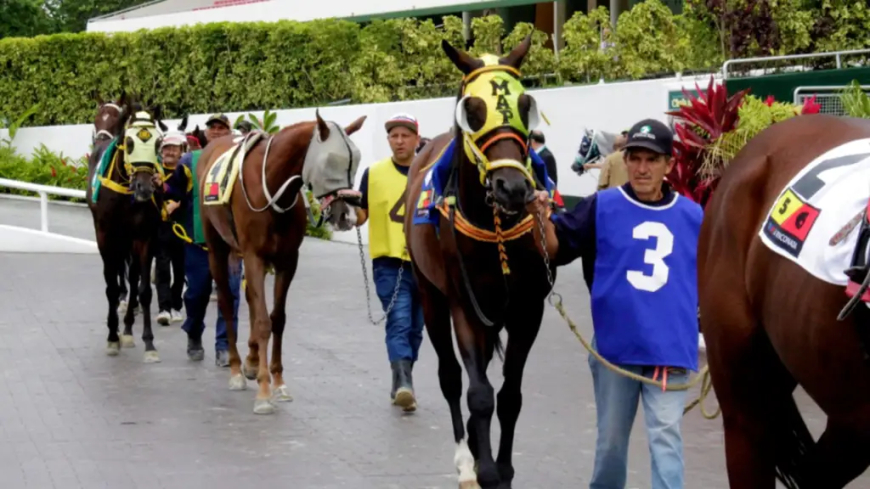 Más de 2 mil dólares cobrarán ganadores con 6 en La Rinconada