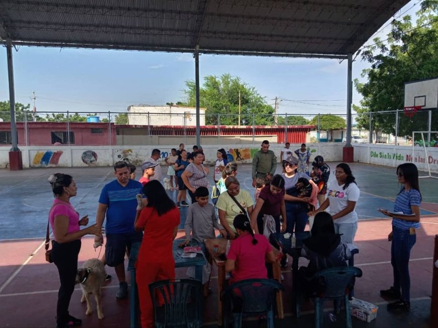 Jornadas veterinarias: 277 mascotas recibieron atención médica gratuita en San Francisco