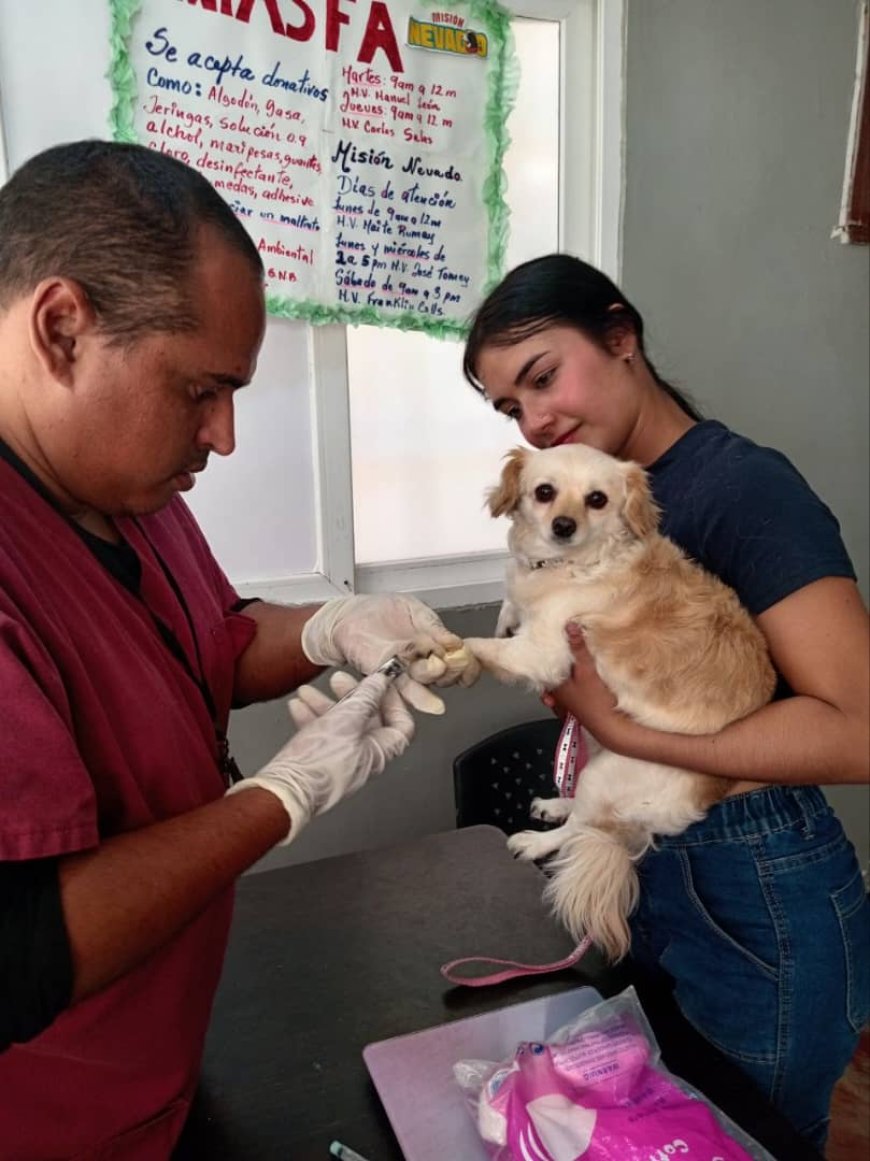 Jornadas veterinarias: 277 mascotas recibieron atención médica gratuita en San Francisco
