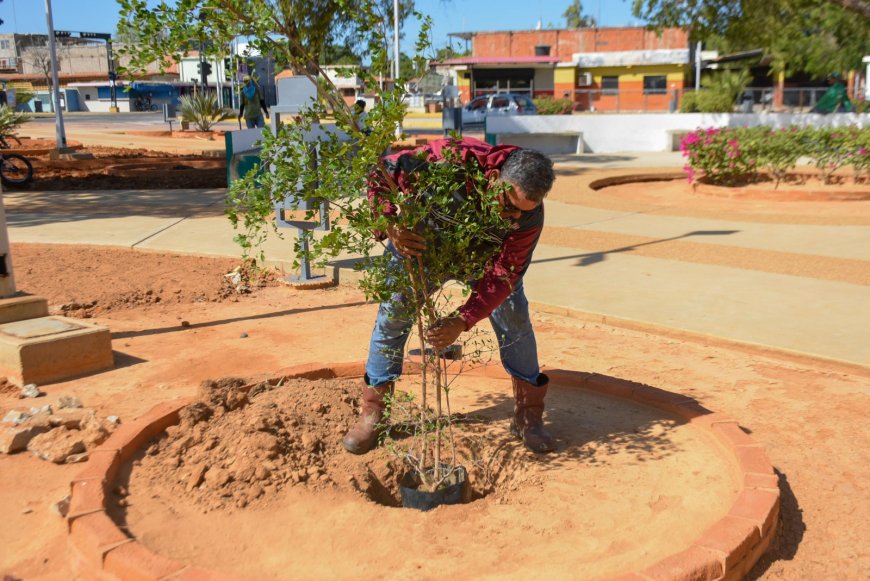 SAN FRANCISCO: Alcaldía inició mantenimiento y adecuación de la Plaza Rafael Urdaneta