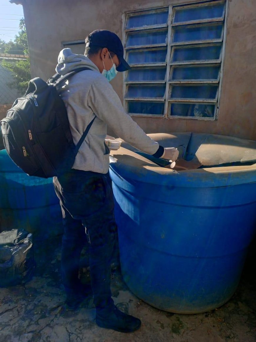 SAN FRANCISCO: Alcaldía intensifica lucha contra el dengue en Betulio González y San Benito