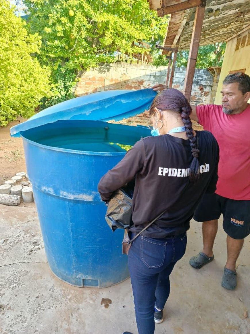 SAN FRANCISCO: Alcaldía intensifica lucha contra el dengue en Betulio González y San Benito