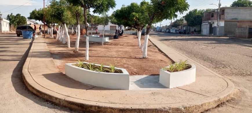 ALTOS DEL SOL AMADA: Líderes comunales rinden cuentas por obra ambiental 